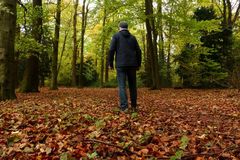 Wenig Eisen, wenig Elan