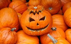 Aus Rübe wurde Kürbis